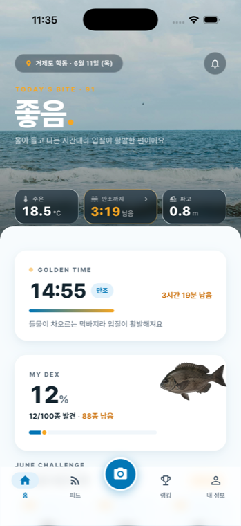 FINN 홈 화면 — 오늘의 출조 브리핑과 물때 카운트다운